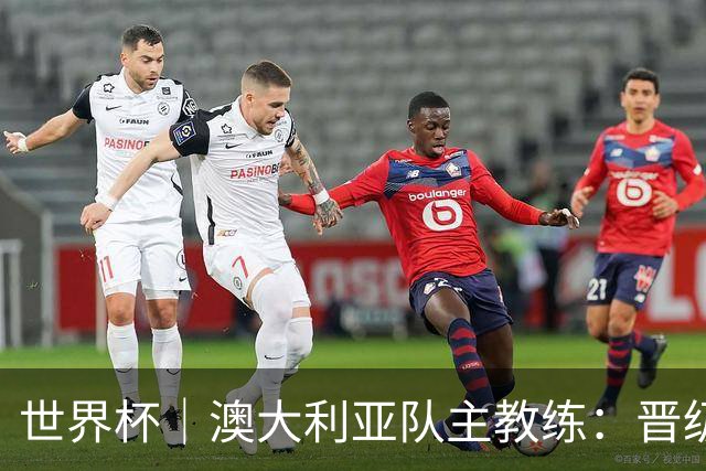 世界杯｜澳大利亚队主教练：晋级淘汰赛是我们应得的